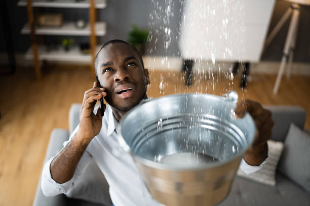 Best Ceiling water damage repair  in Brighton, CO