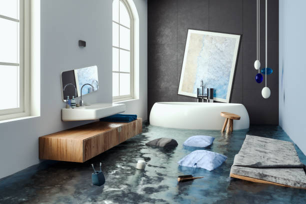 Best Basement water damage restoration  in Brighton, CO