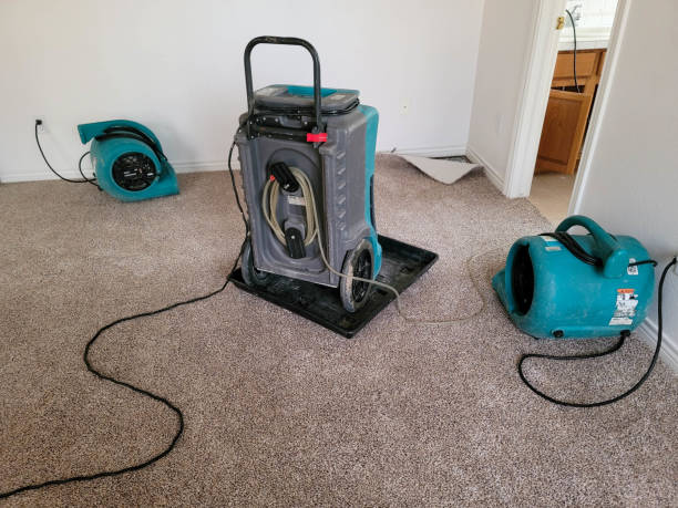 Best Water damage repair service  in Brighton, CO