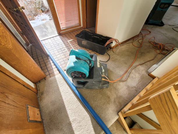 Best Local water damage restoration  in Brighton, CO