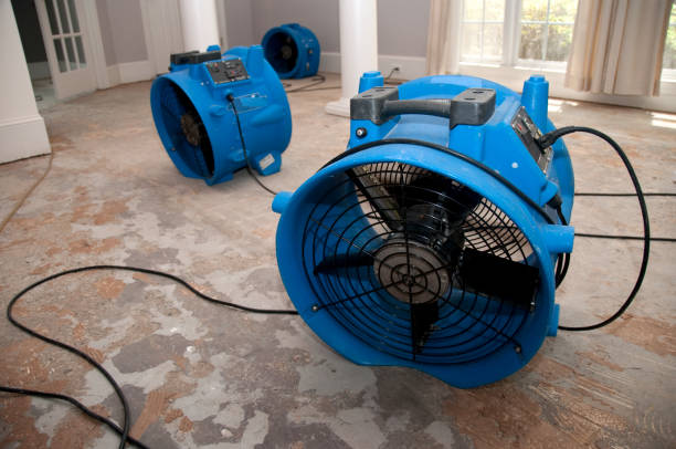 Professional Water damage restoration in Brighton, CO