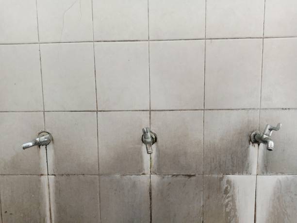 Sewage cleanup and water damage restoration in Brighton, CO