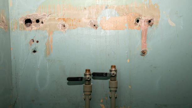 Best Flood restoration services  in Brighton, CO