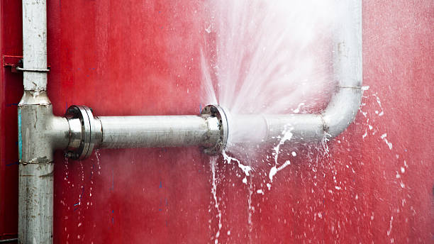Best Water damage contractors near me  in Brighton, CO